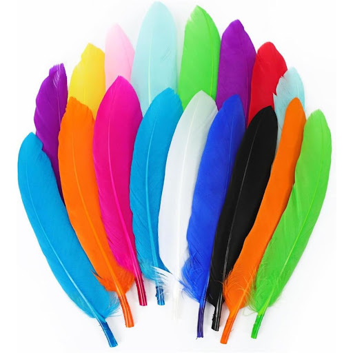 [CC000328] Long Multicolor Feather Pack with Bamboo Skewers